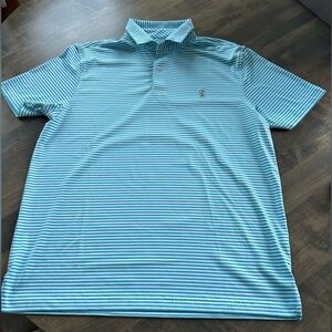 Izod Men's Blue Striped Polo Shirt NWOT